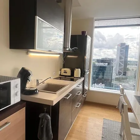 Apartamento Luxury Nightlights Nelli Talin